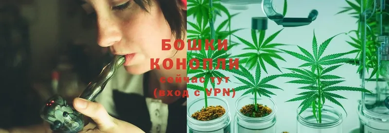 МАРИХУАНА Ganja  Боровичи 